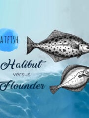 Flounder vs. Halibut: What is the difference?
