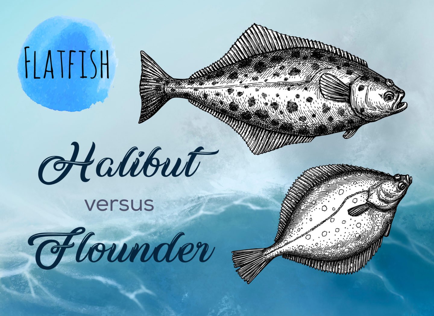 halibut vs flounder differences