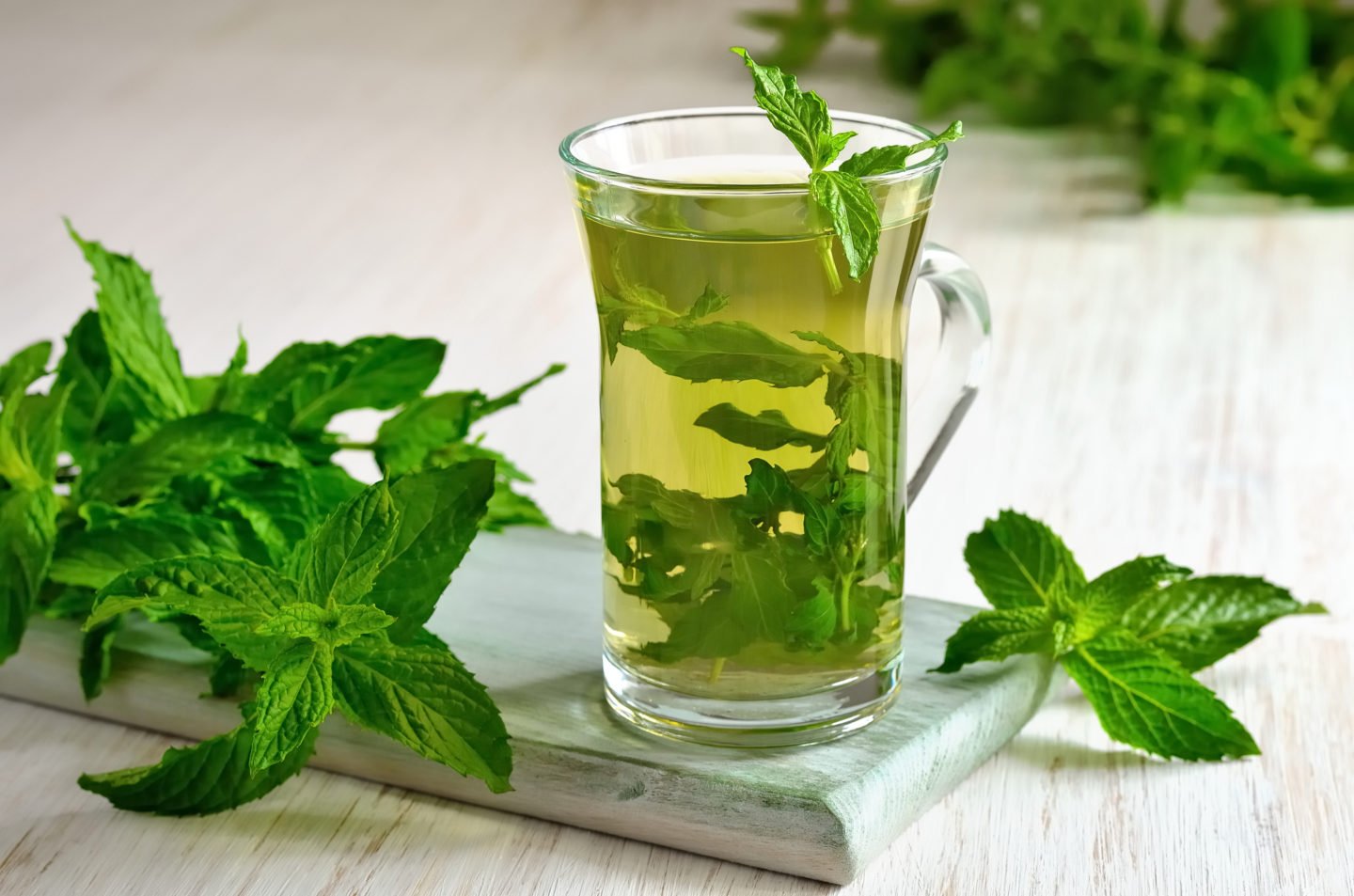 Mint Tea With Fresh Mint Leaves