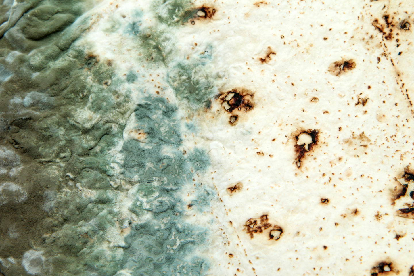 Moldy Tortilla Flatbread