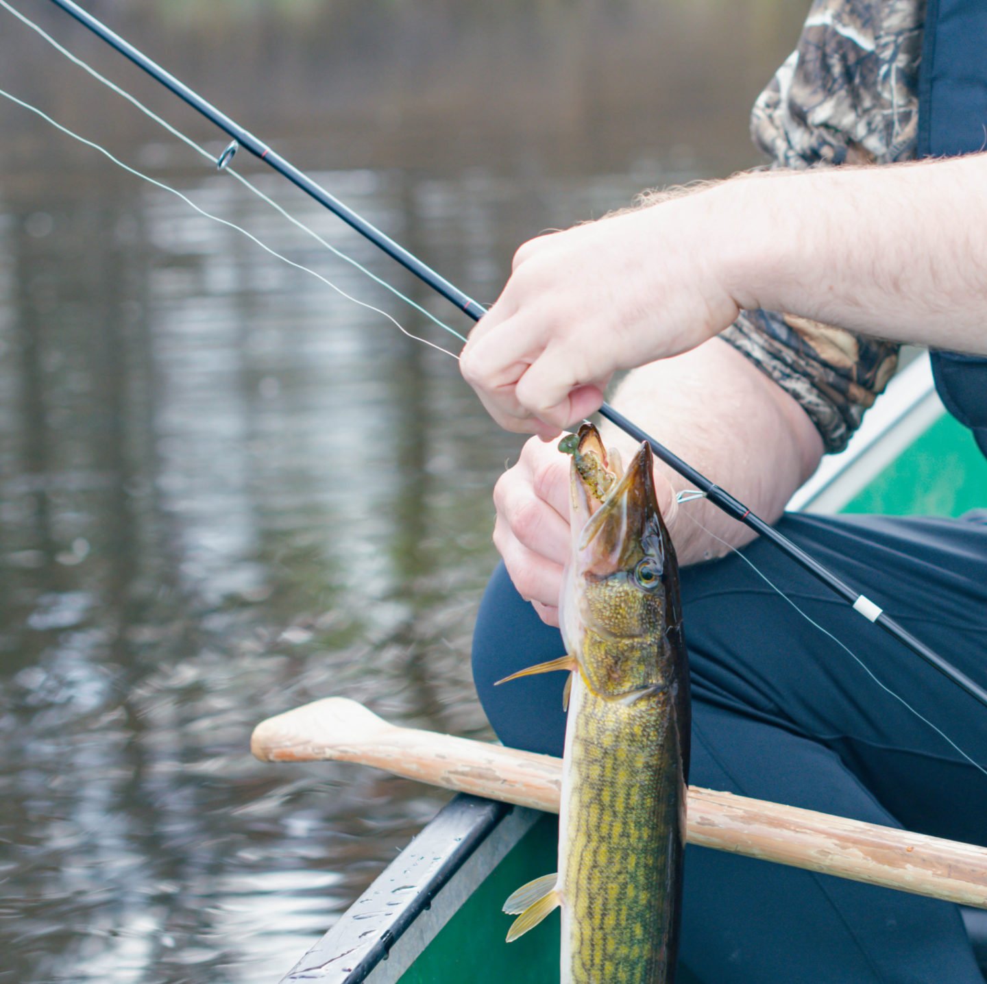 Pickerel Fishing In River