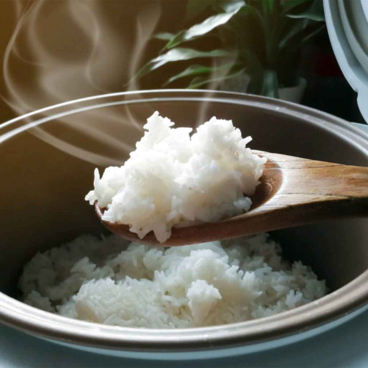 The 7 Best Japanese Rice Cookers in 2024 Tastylicious