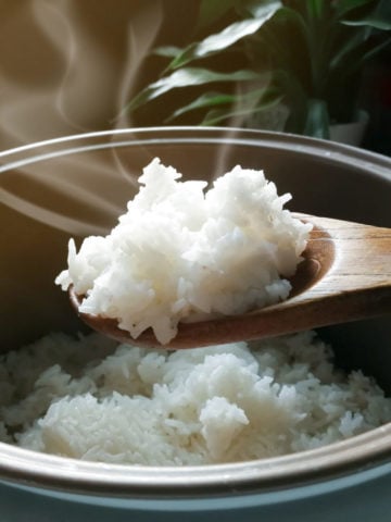 rice cooker with jasmine rice