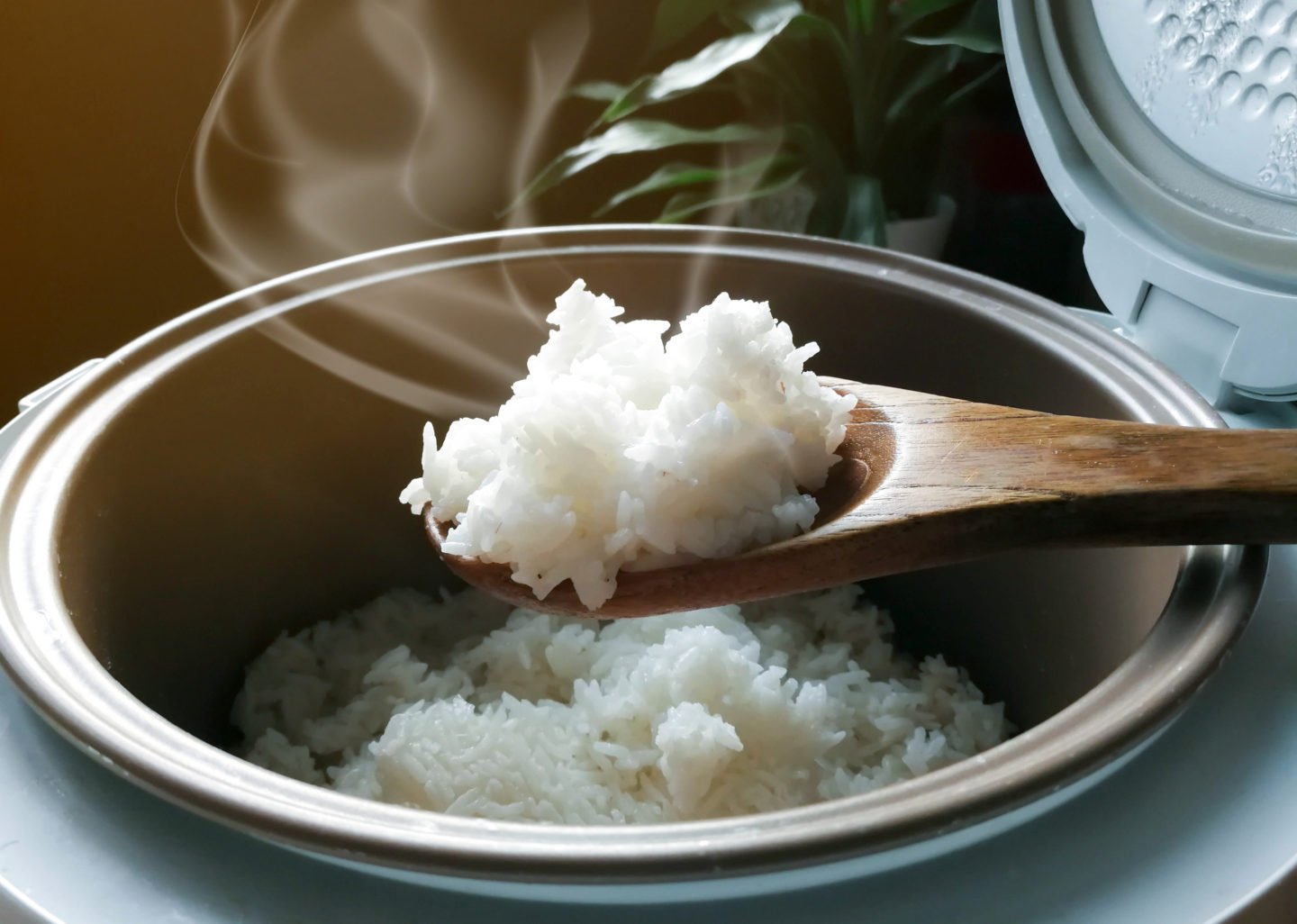 rice cooker with jasmine rice