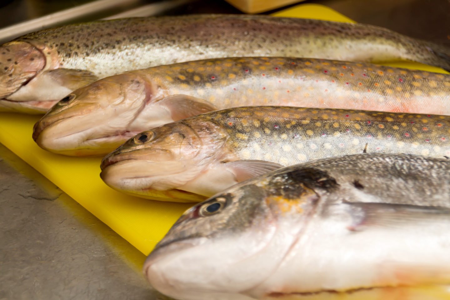 Speckled Trout On Cutting Board