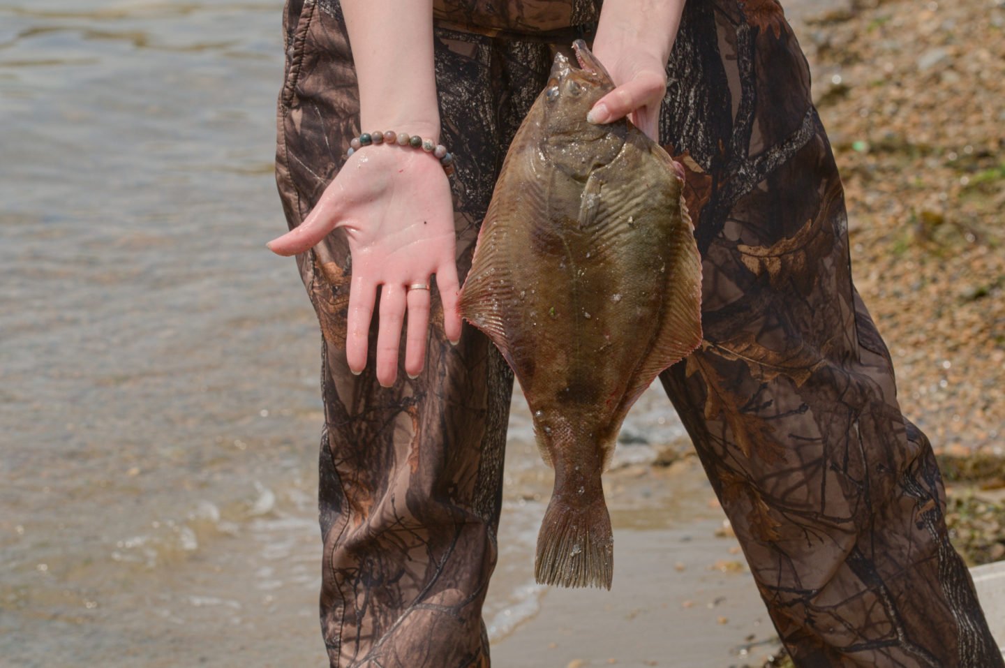 wild caught halibut