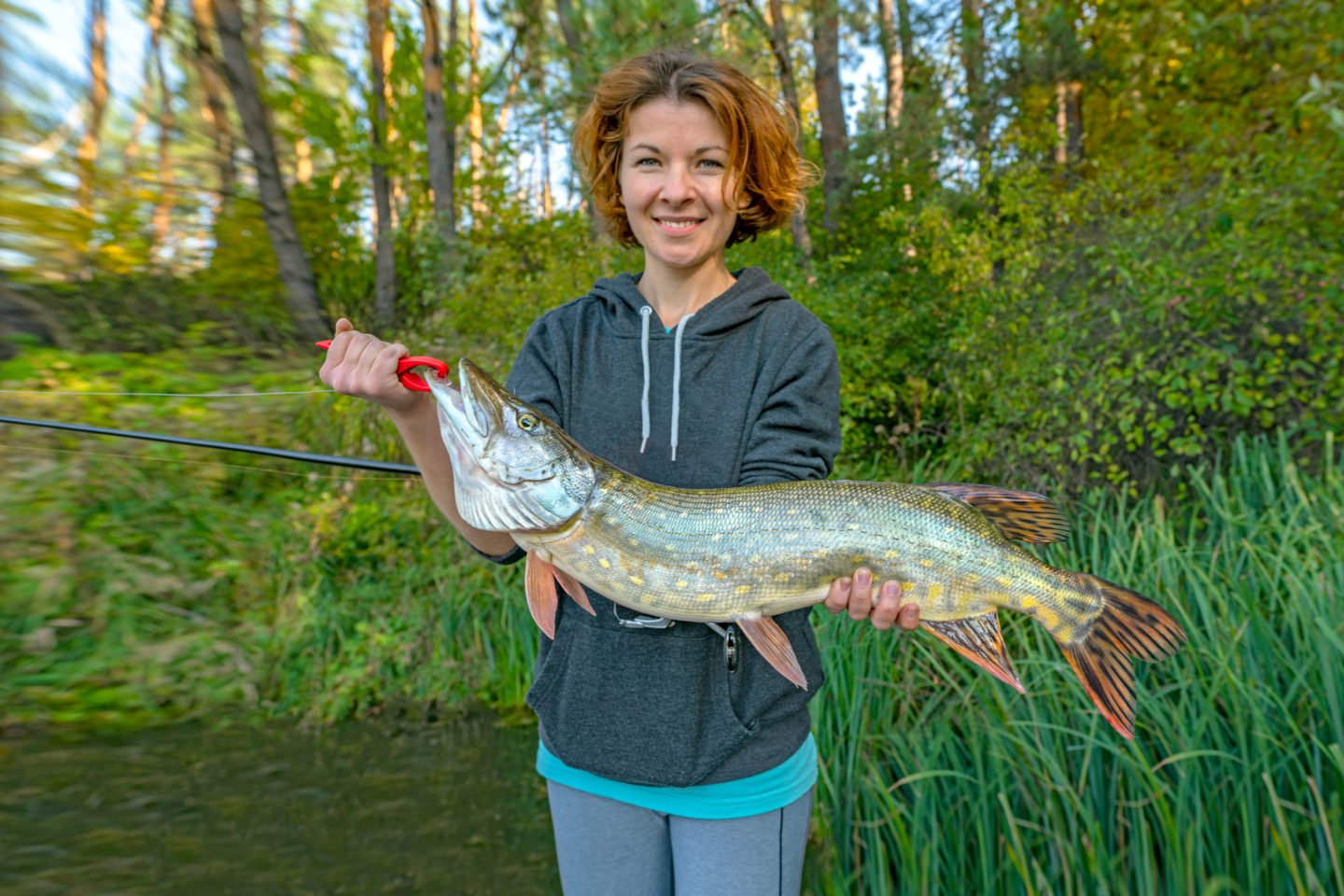 Woman Holding Large Northern Pike Fish