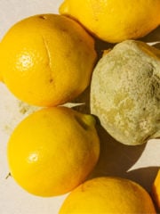 5 Ways To Tell If A Lemon Is Bad