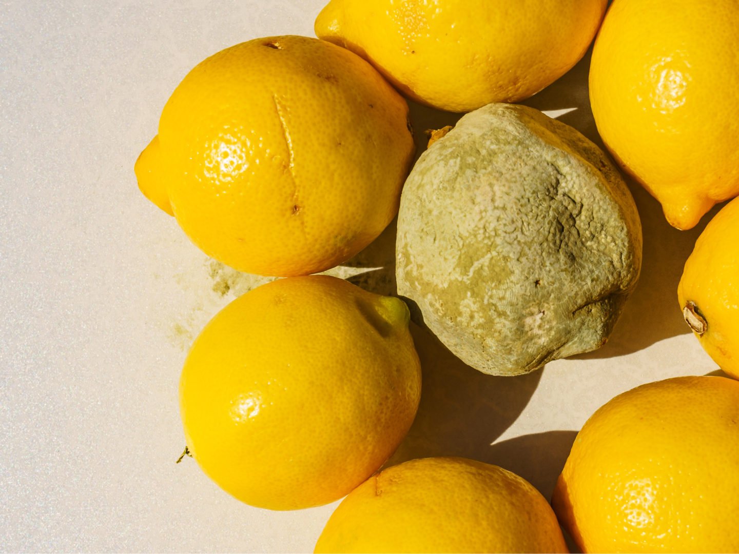 bad lemon versus healthy lemons