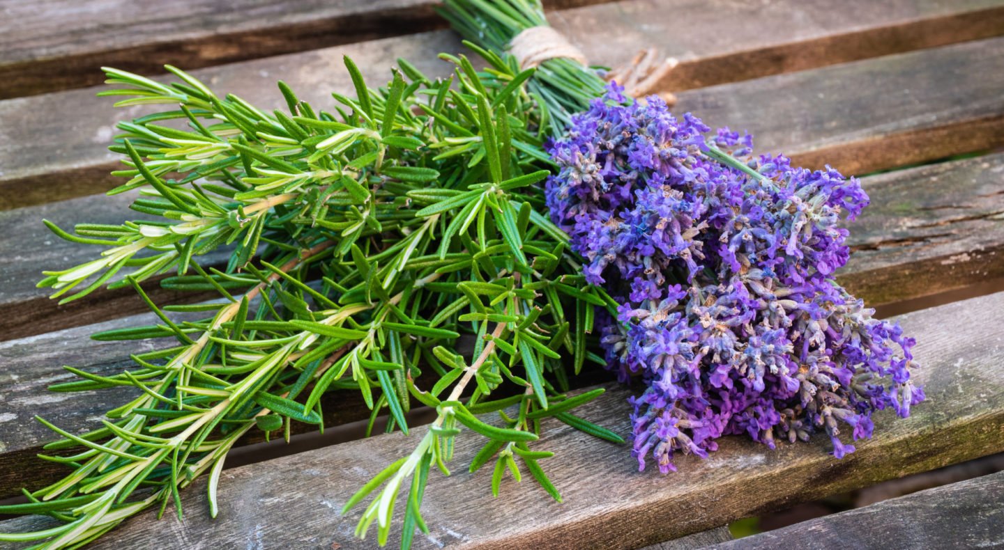 bunch of lavender blossoms and rosemary branches