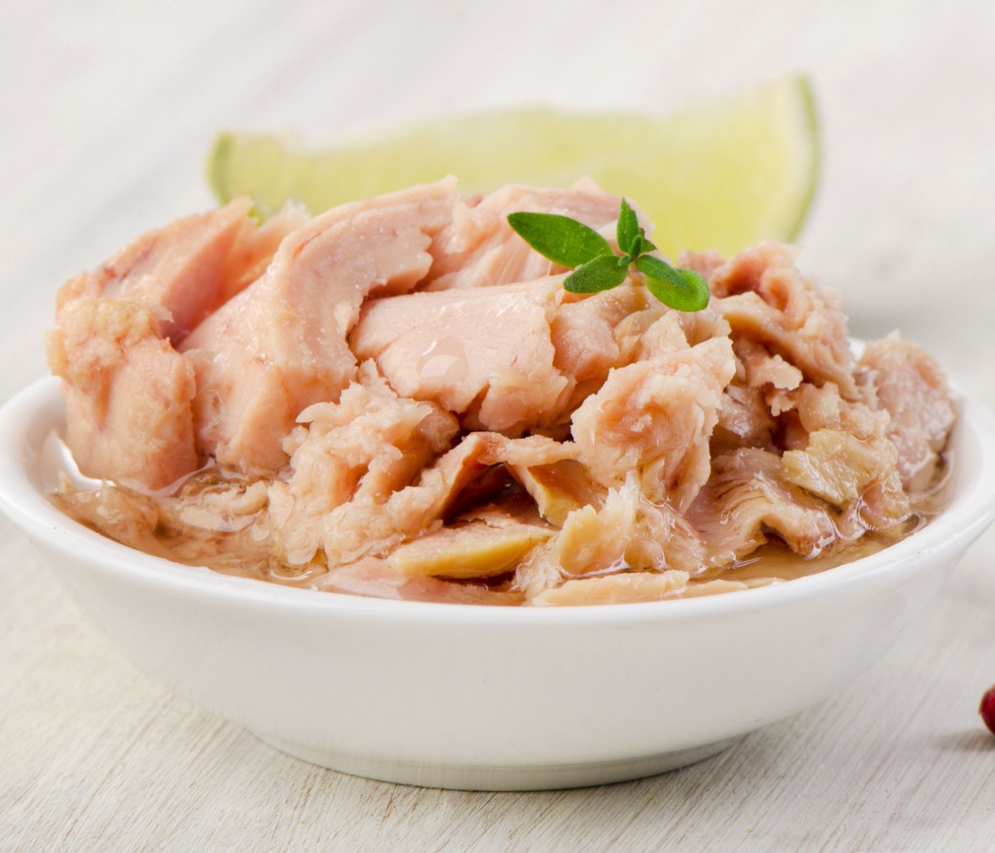 canned tuna in oil