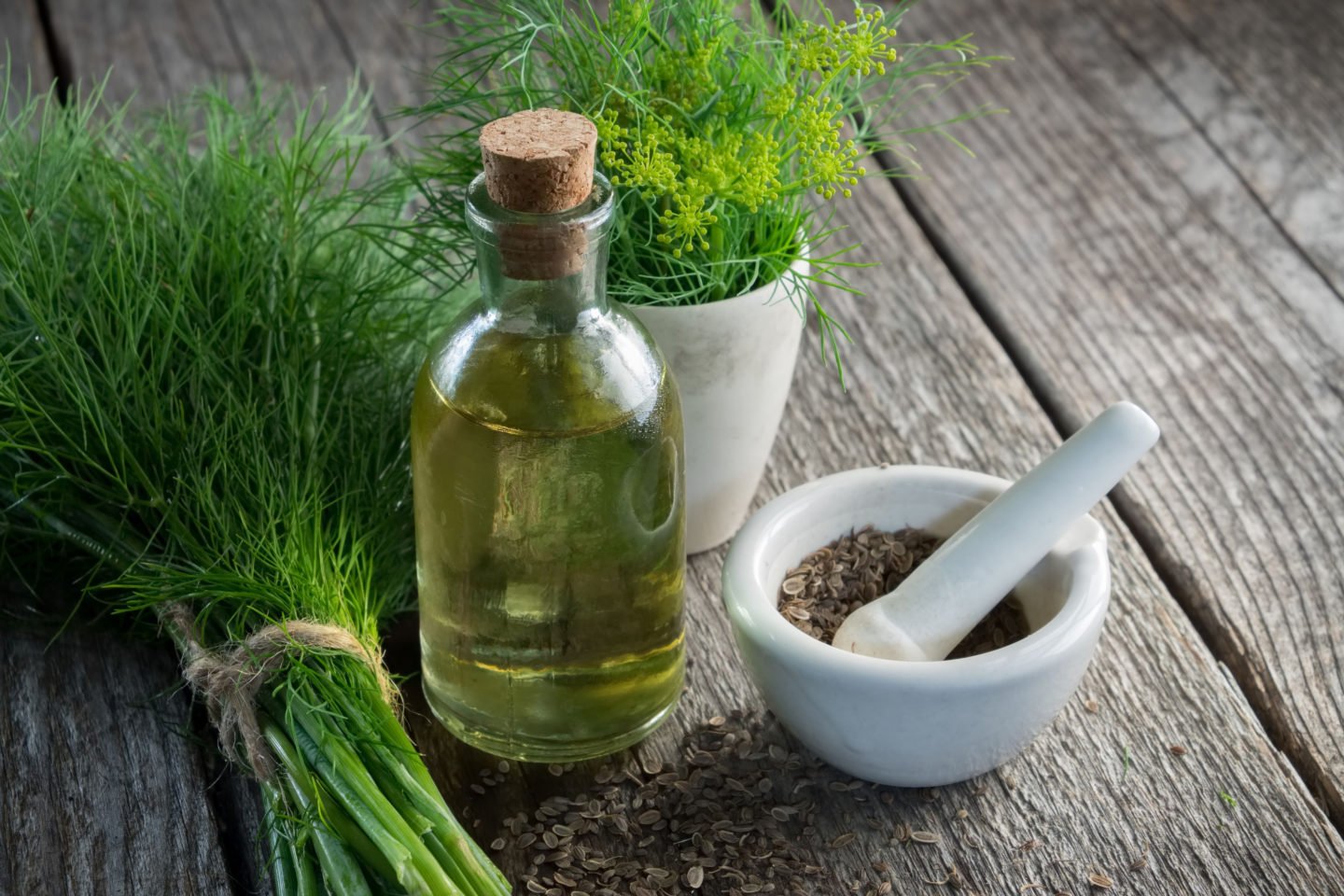 fresh dill with fennel seeds and dill oil