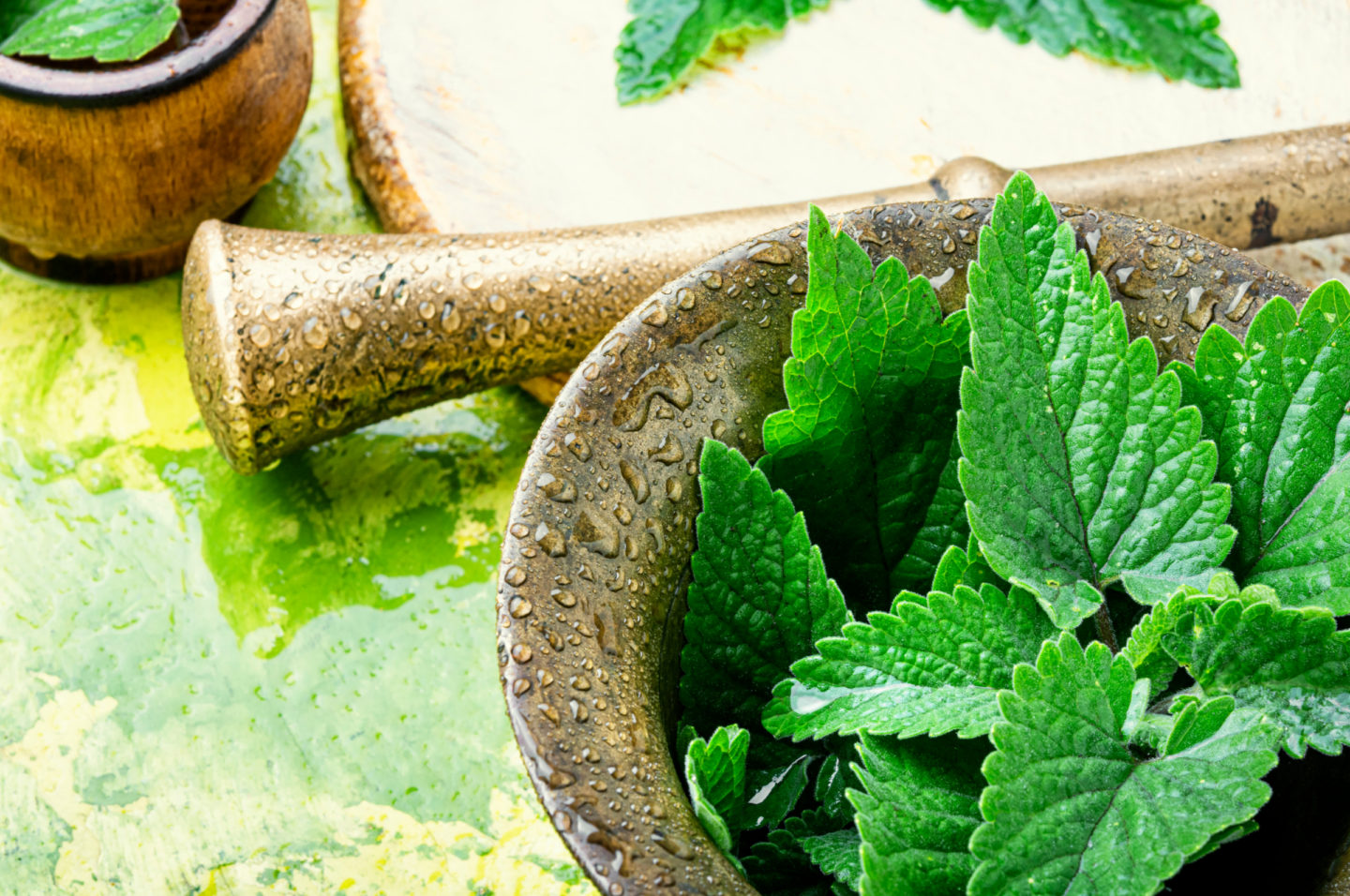 Lemon Balm Leaves In Bowl