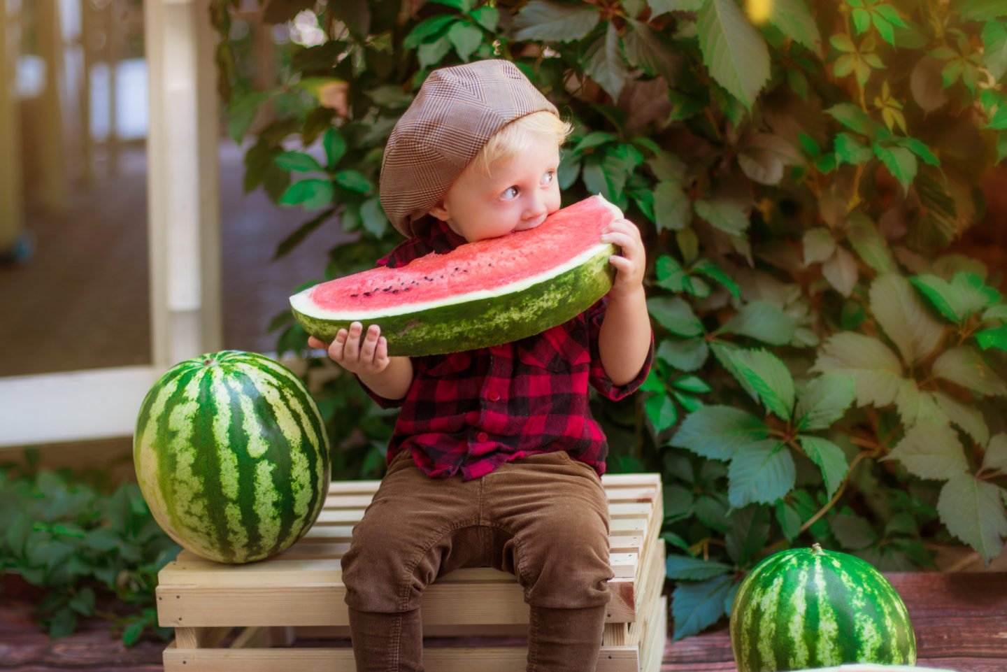 little boy eating a large watermelon slice