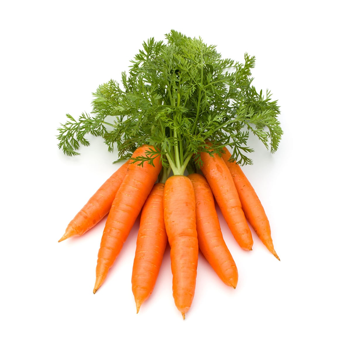 Are Carrots High in Iron? Tastylicious