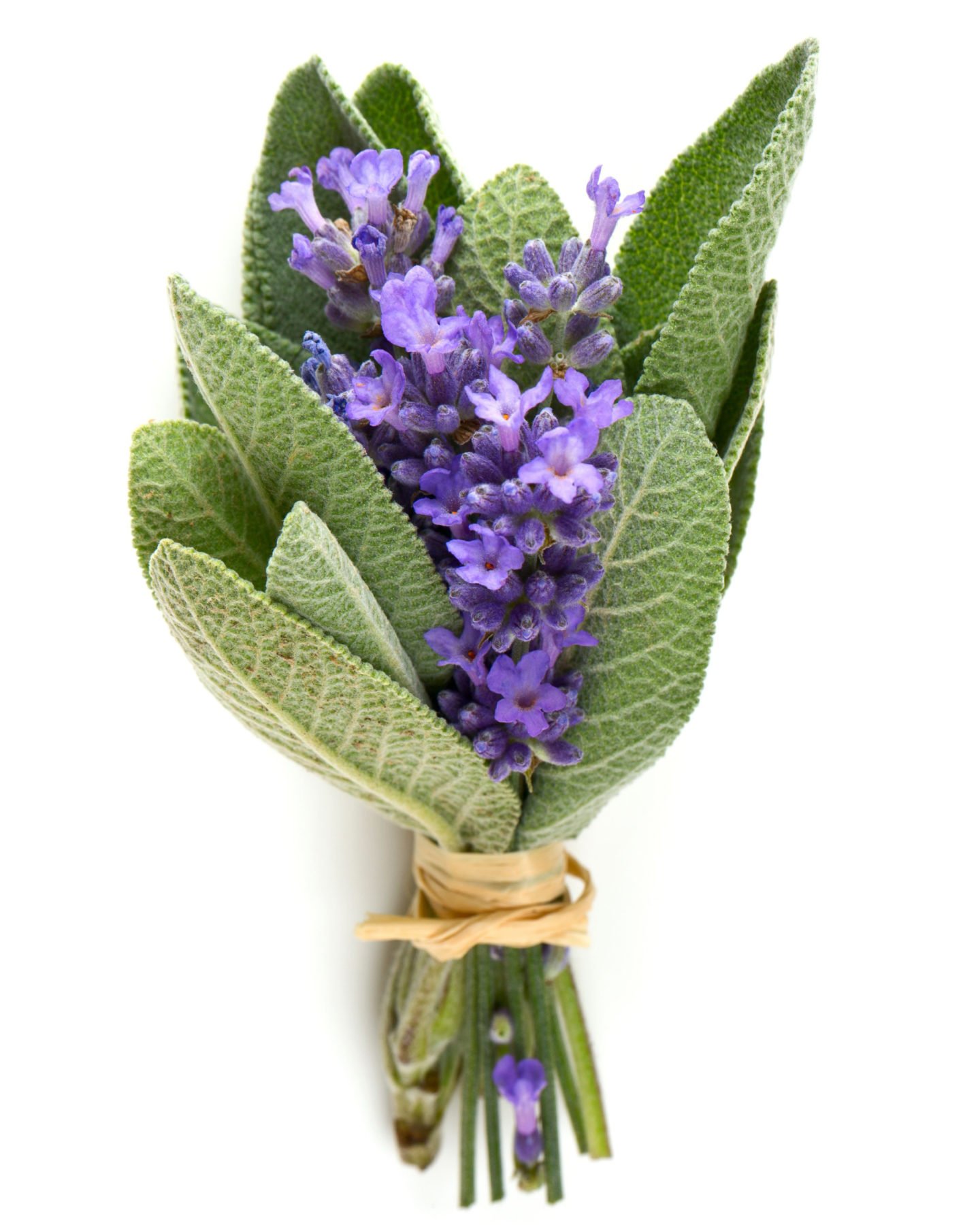 Sage And Lavender Bundle