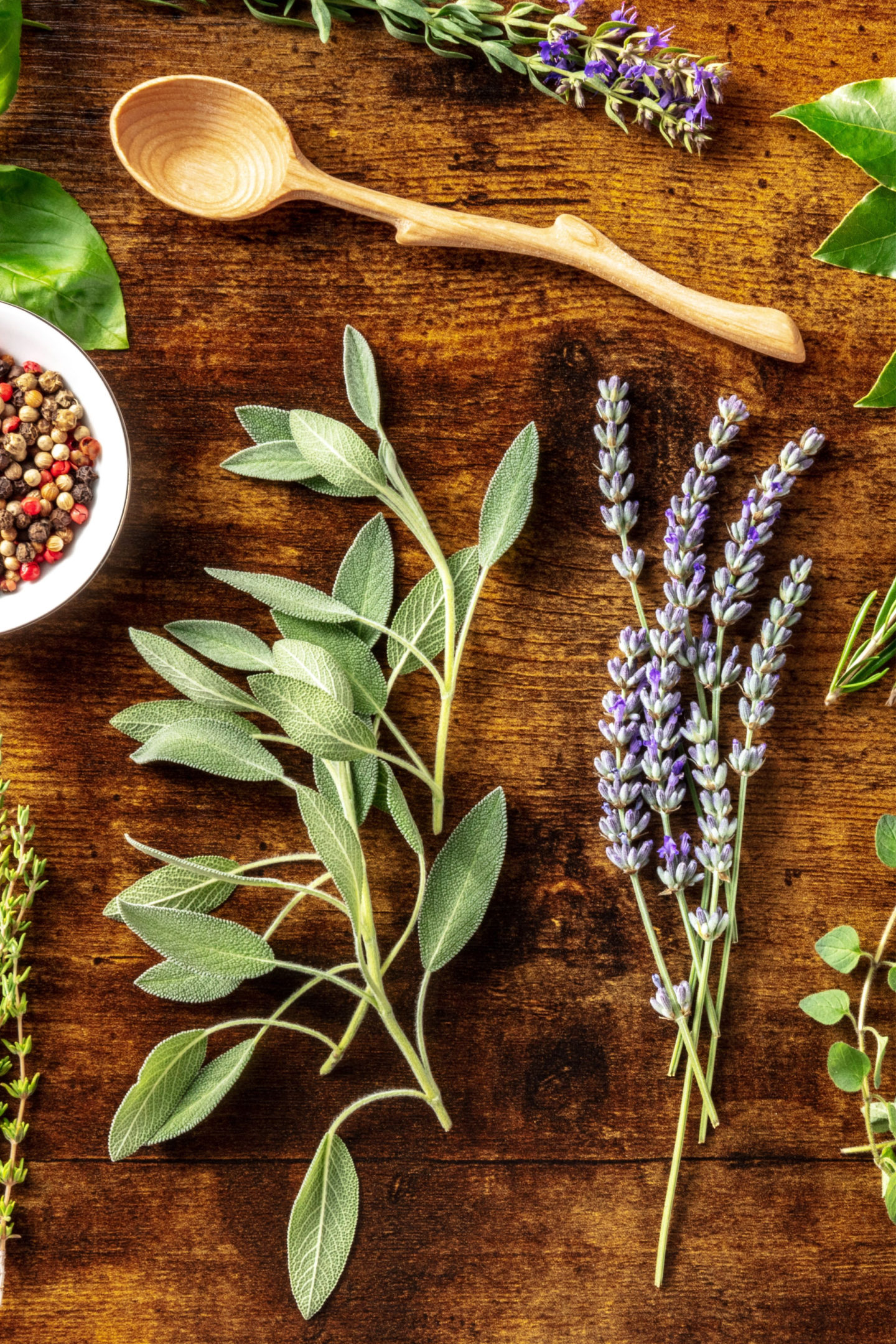 Sage Lavender Herbs For Cooking