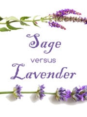 Sage vs. Lavender