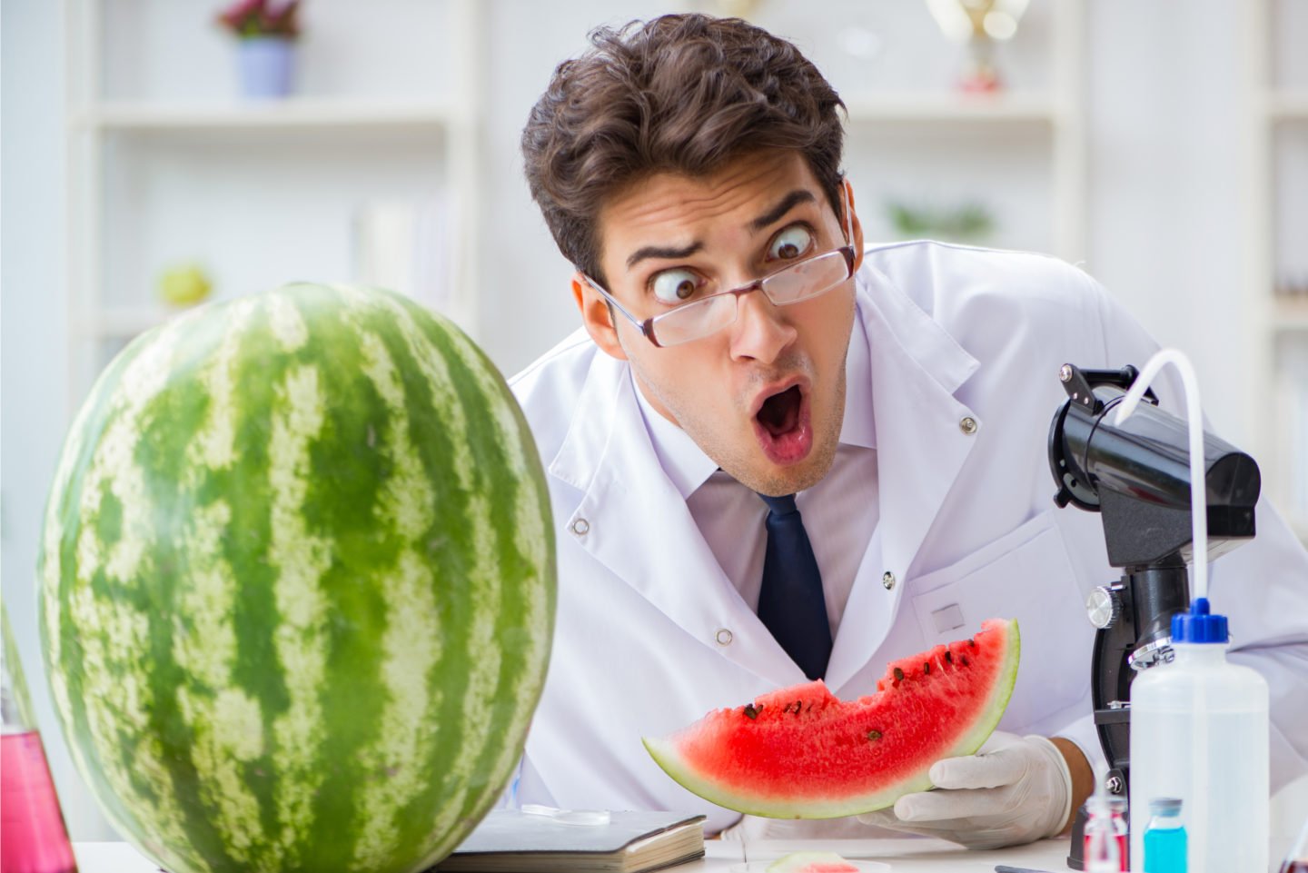 funny photo of scientist testing a watermelon in a lab