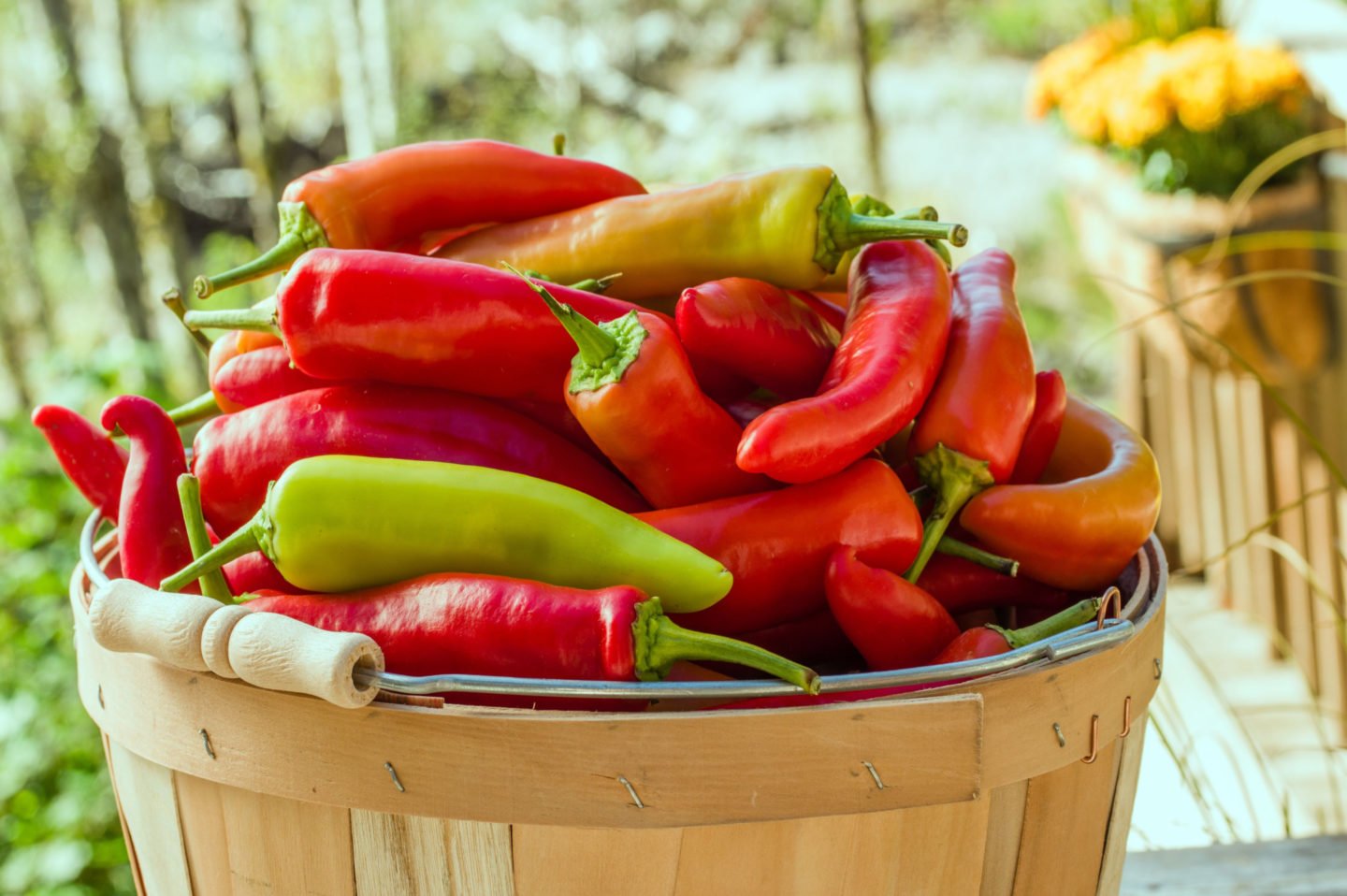 types of banana peppers