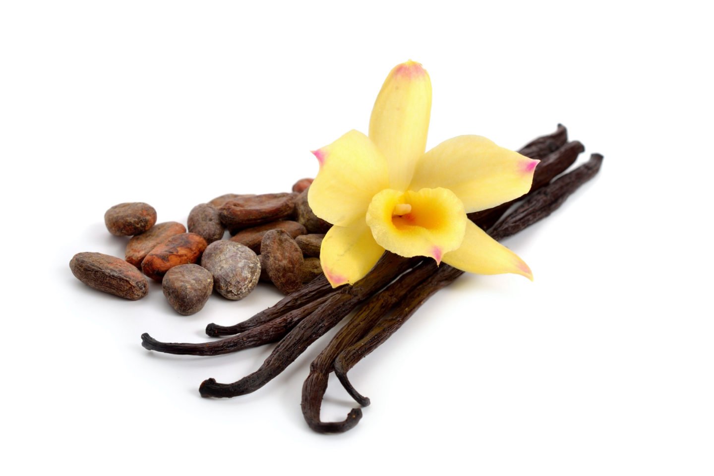 Cacao Beans Vanilla Pods