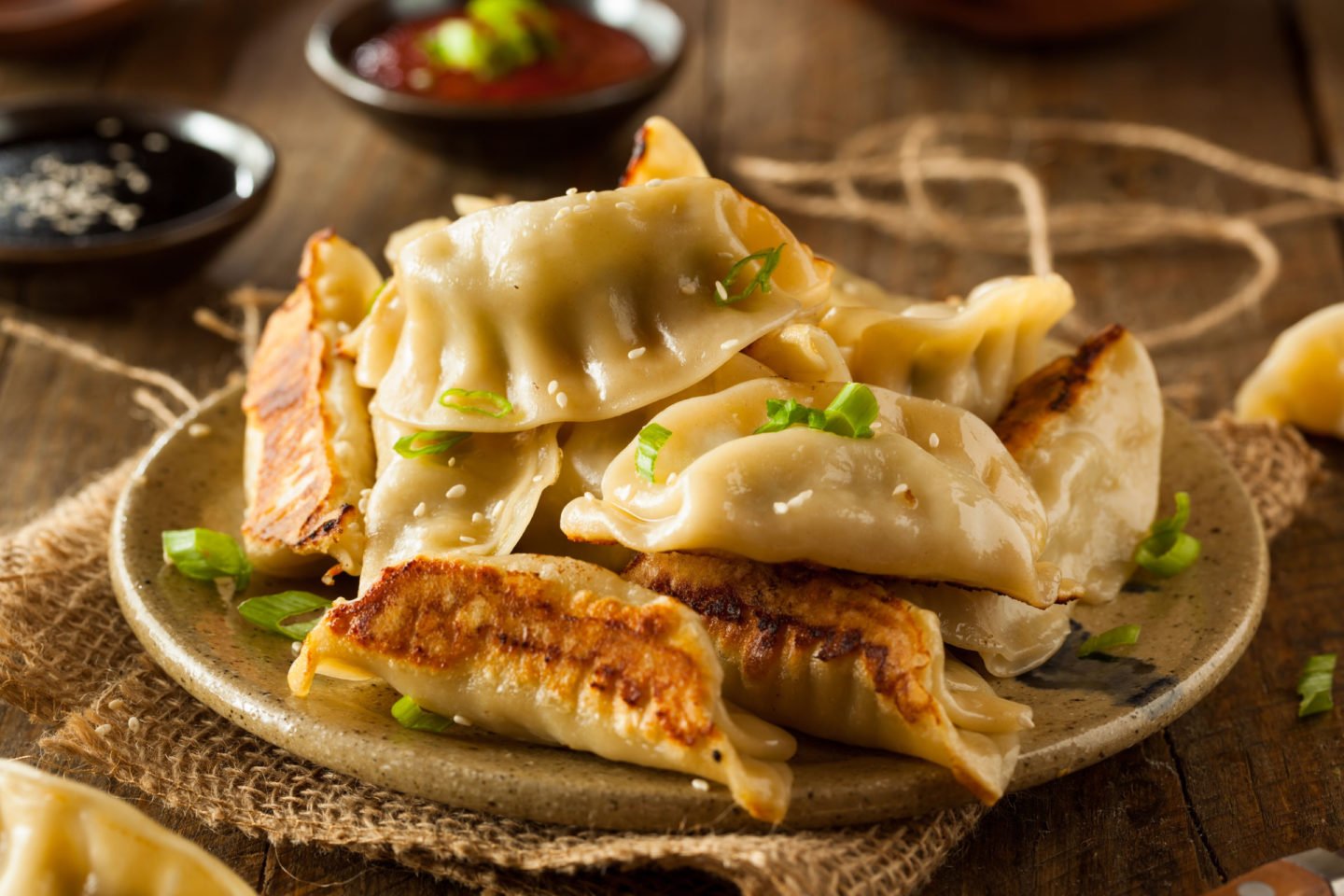 Dumplings Pot Stickers