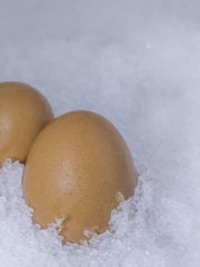 Freezing Scrambled Eggs