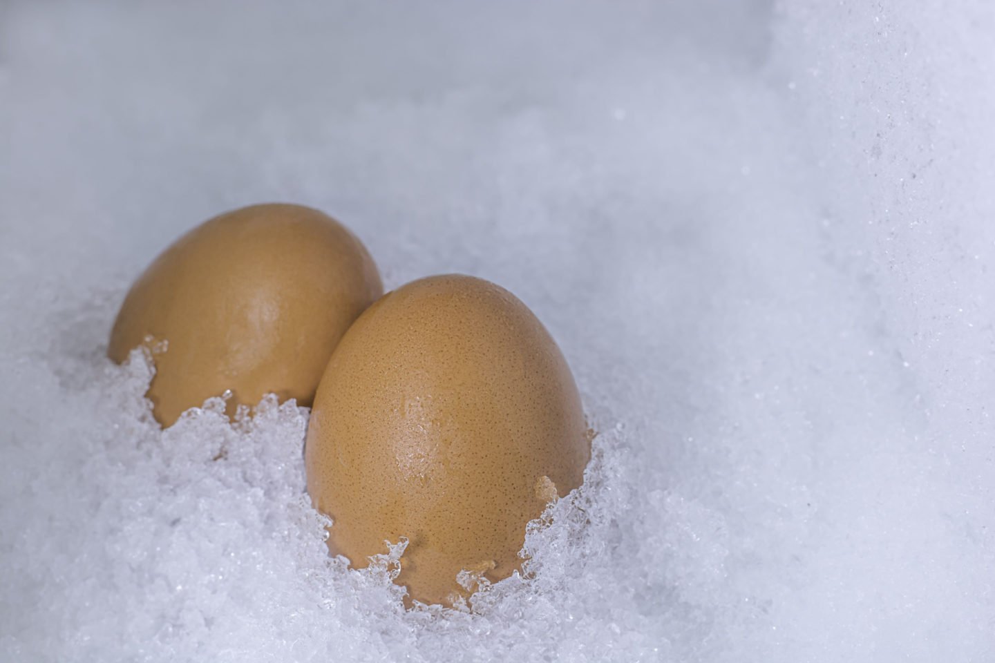fresh eggs in ice