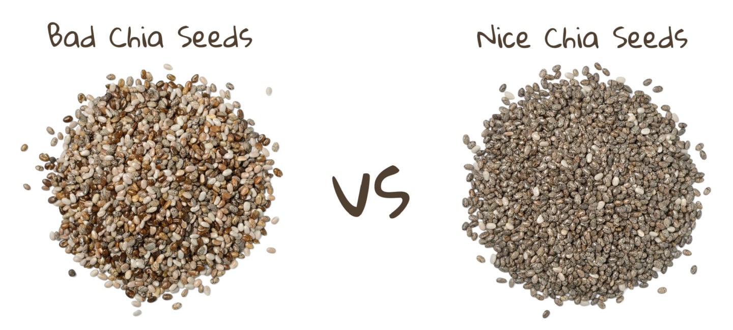 bad vs nice chia seeds
