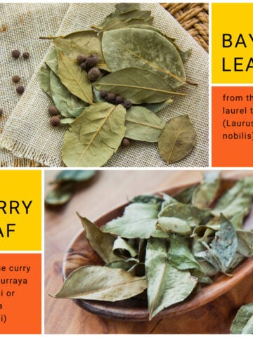 Bay Leaf Versus Curry Leaf 360x480
