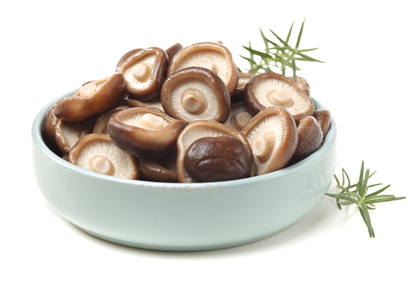 boiled shiitake mushrooms