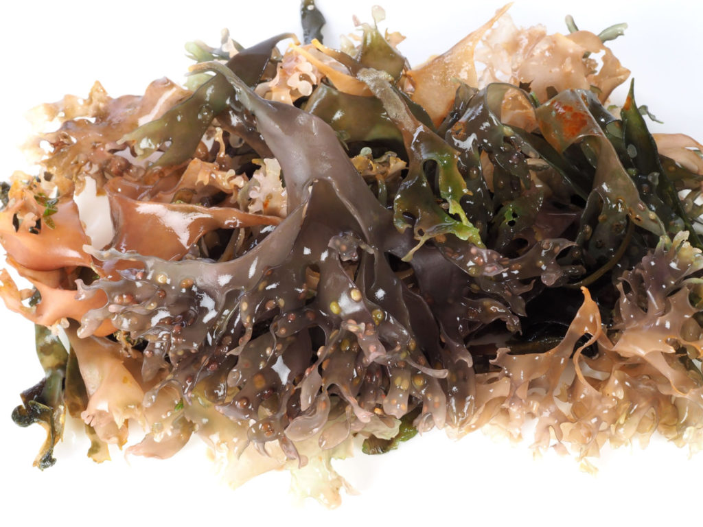 How Long Does Sea Moss Last? Here's Everything You Need To Know