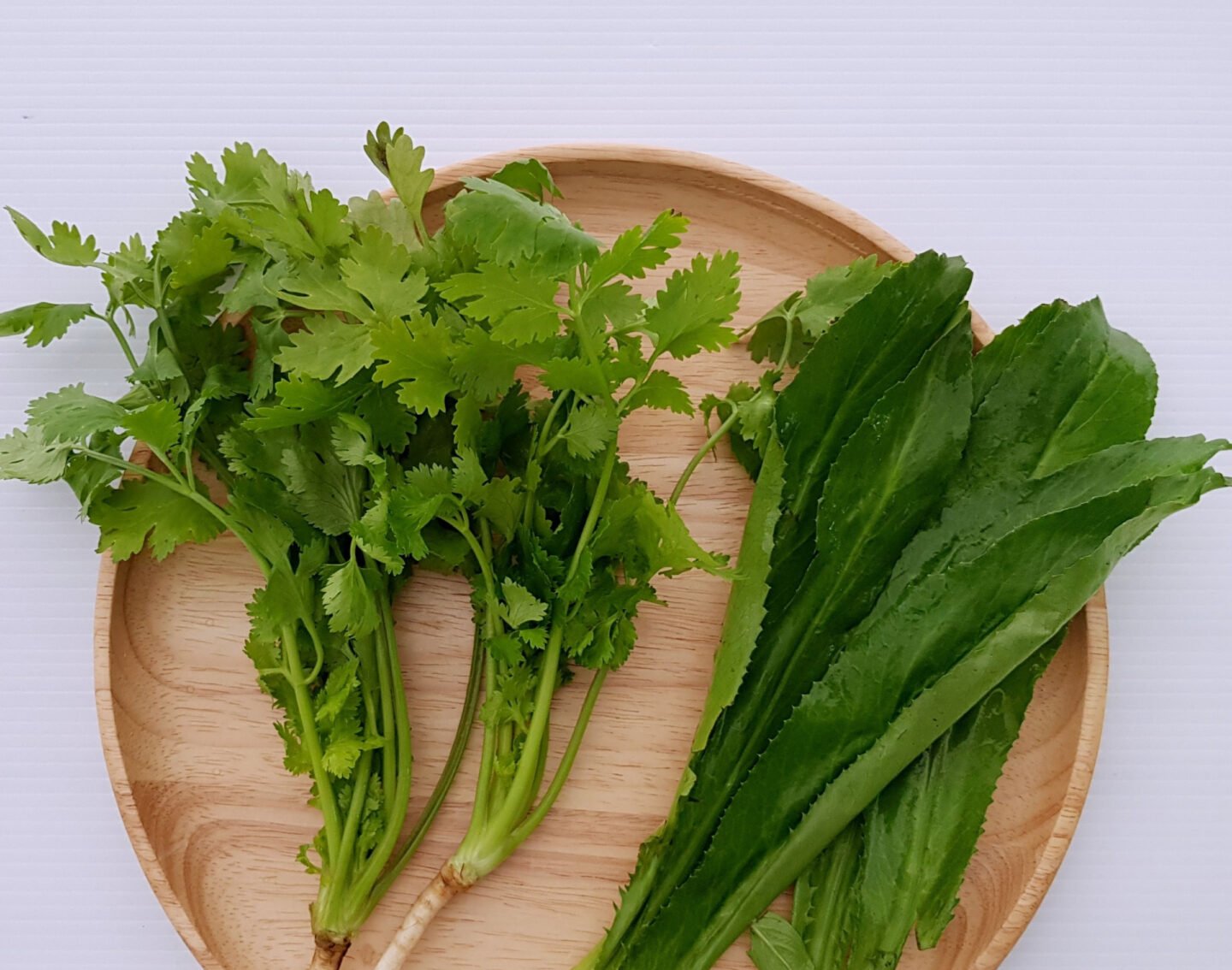 cilantro and culantro on a plate