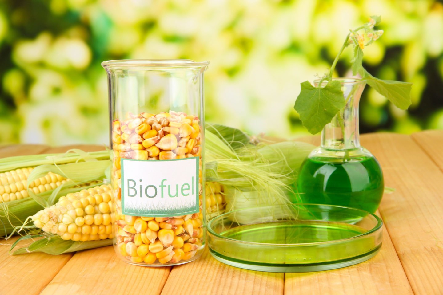corn as biofuel