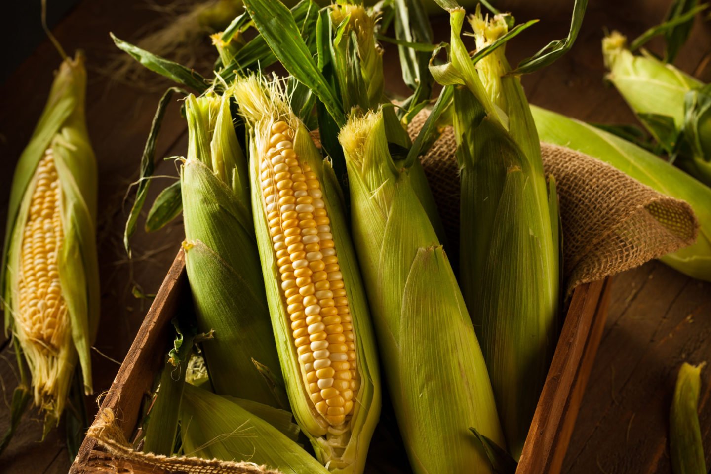 corn harvest in a box