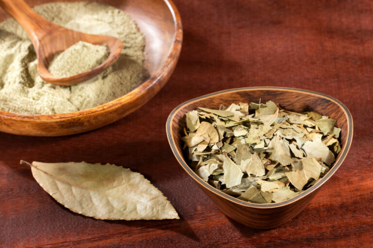 Bay Leaf vs. Curry Leaf Top 5 Differences Tastylicious