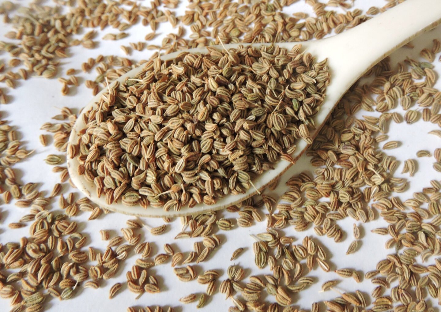 dried caraway fruits in a spoon