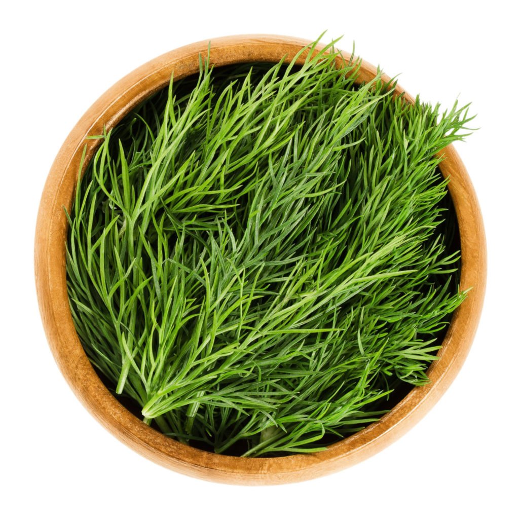 Dill vs. Dill Weed How Are They Different or Similar? Tastylicious