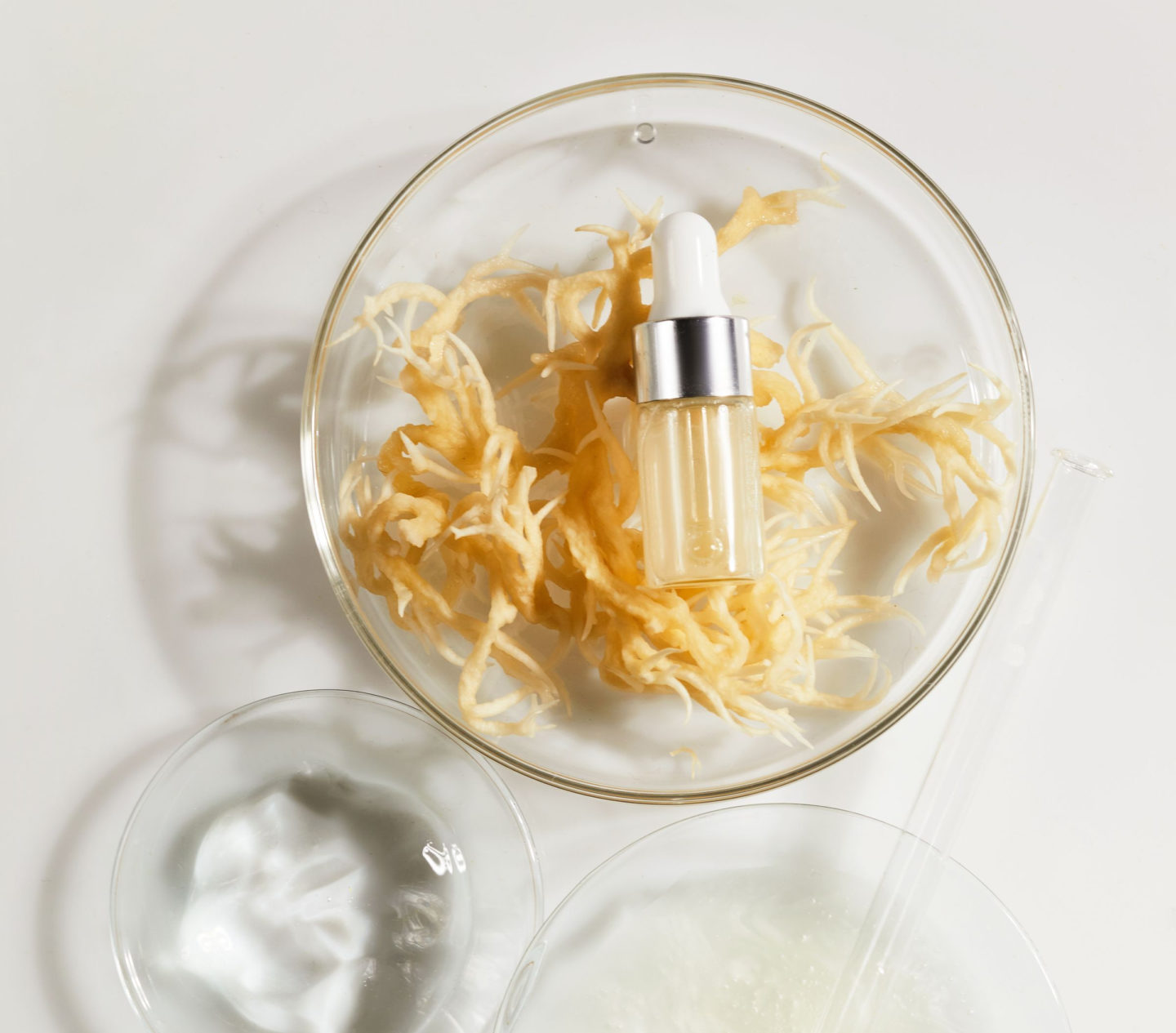 sea moss skin care products