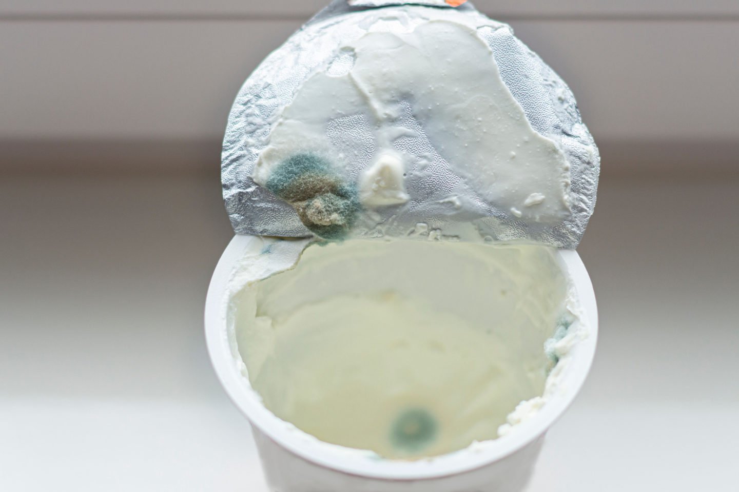 store bought sour cream with blue mold