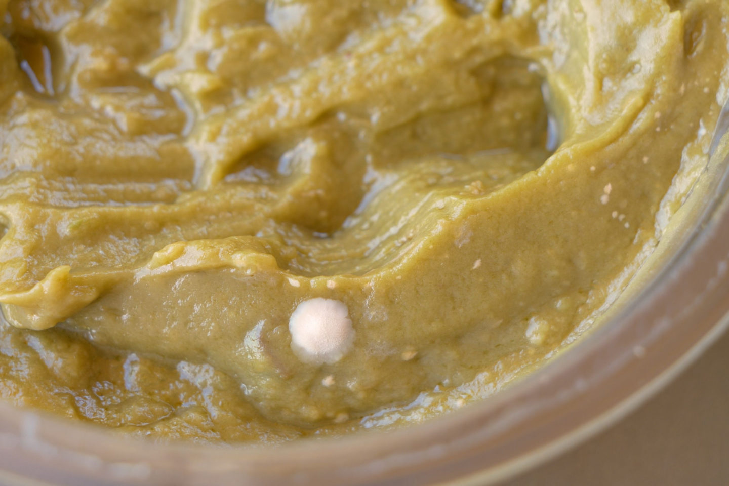 white mold on hummus