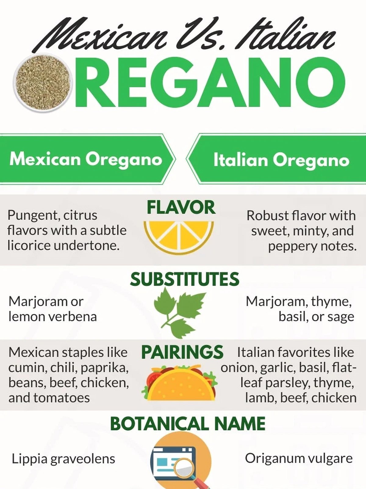 Mexican Oregano vs Italian Oregano Infographic