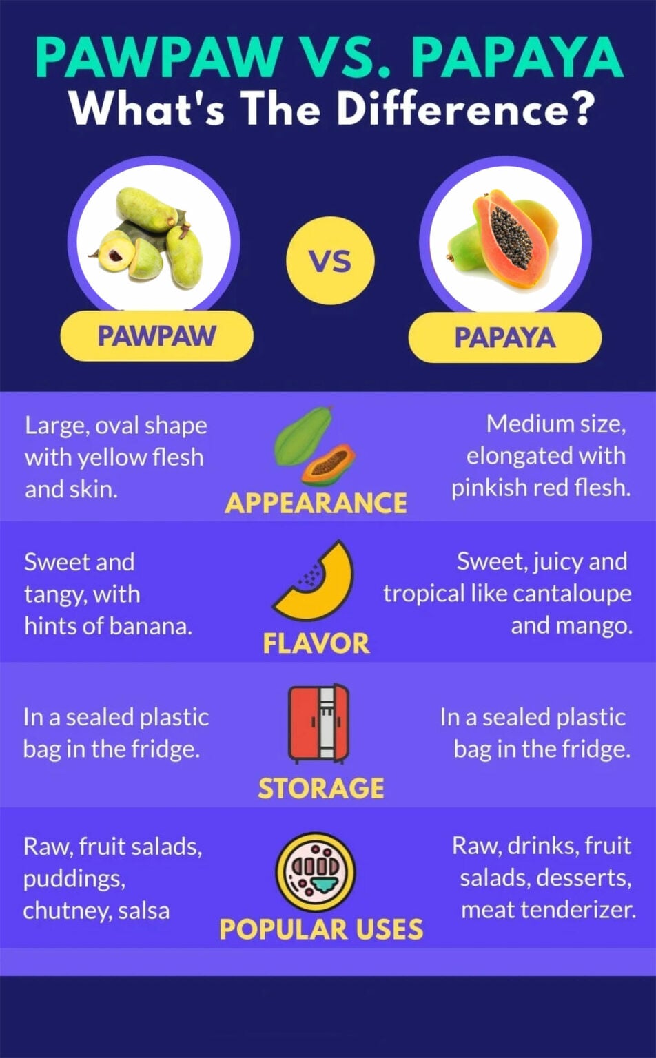 Pawpaw Vs Papaya What's The Difference?