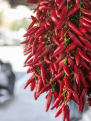 6 Best Substitutes for Calabrian Chiles in Cooking