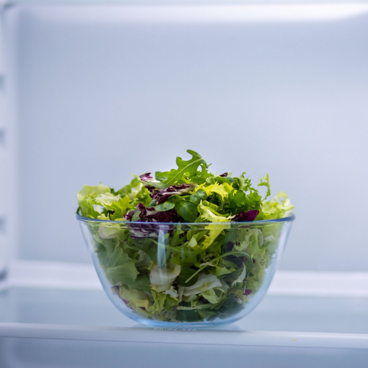 green salad in the fridge