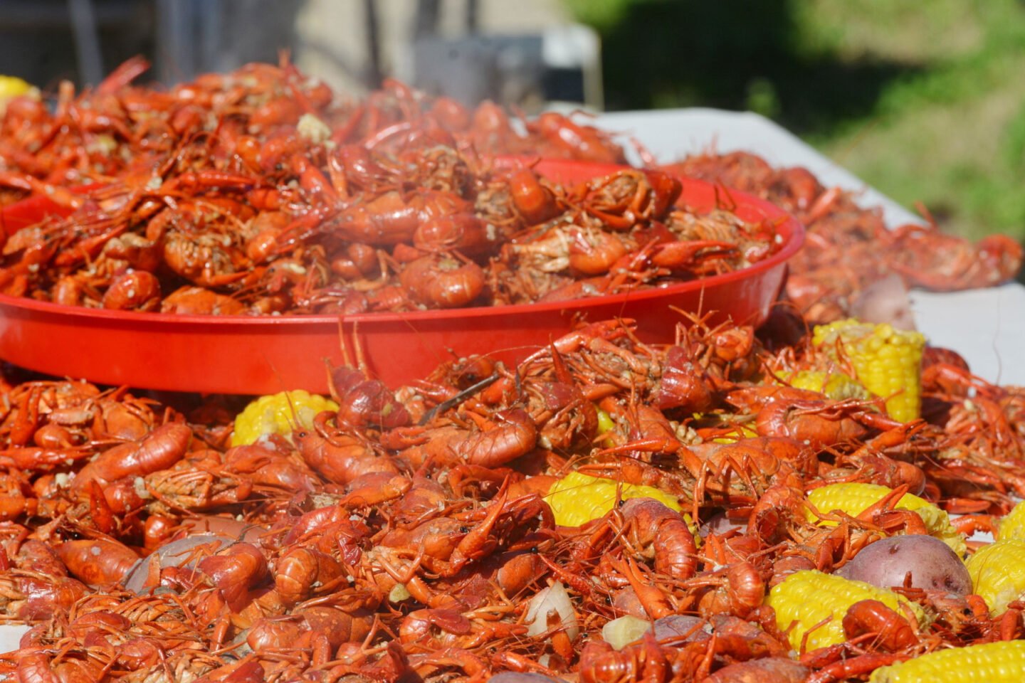 hot crawfish spread on the table