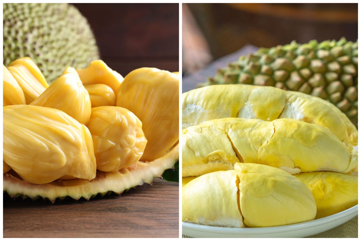 jackfruit vs durian