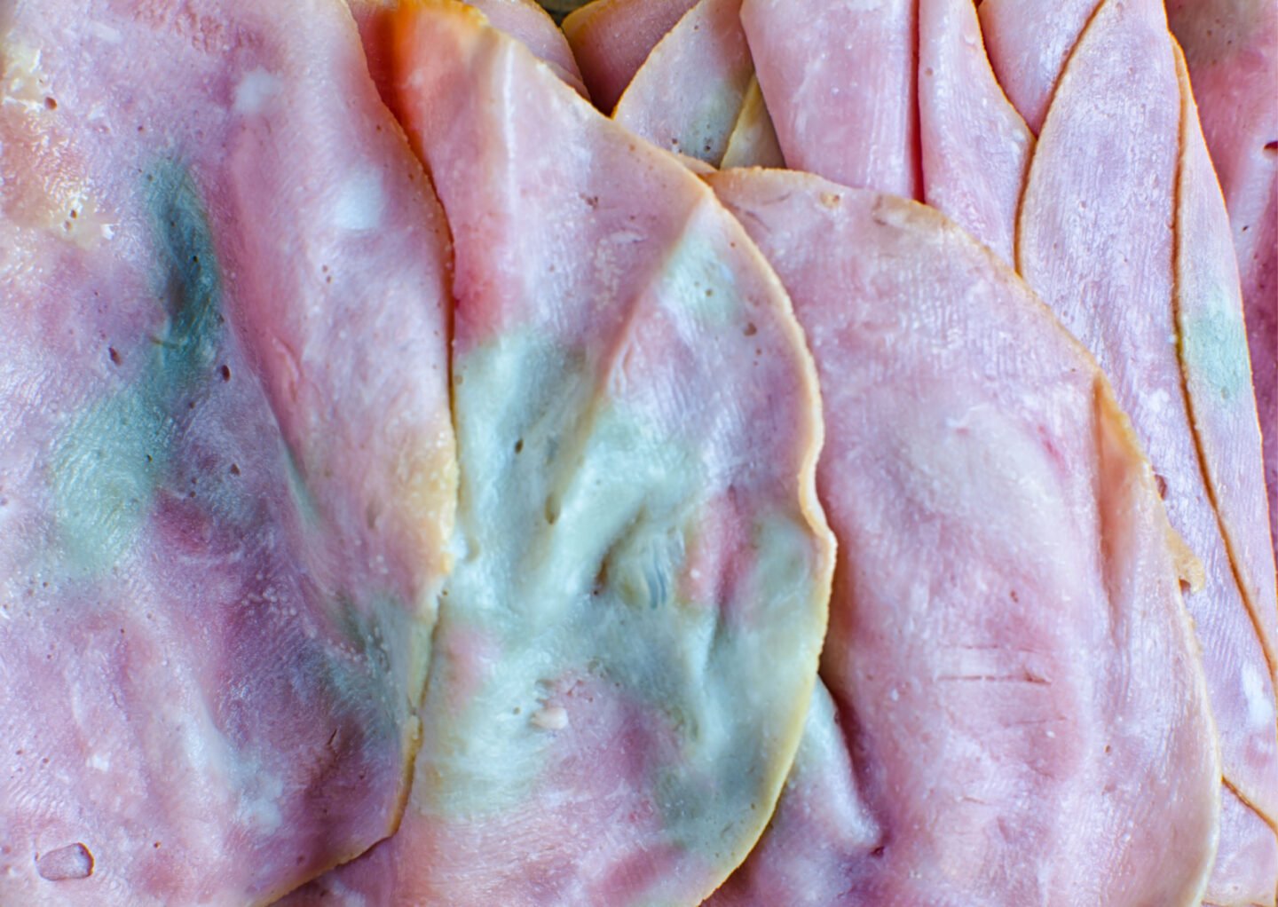 moldy ham slices