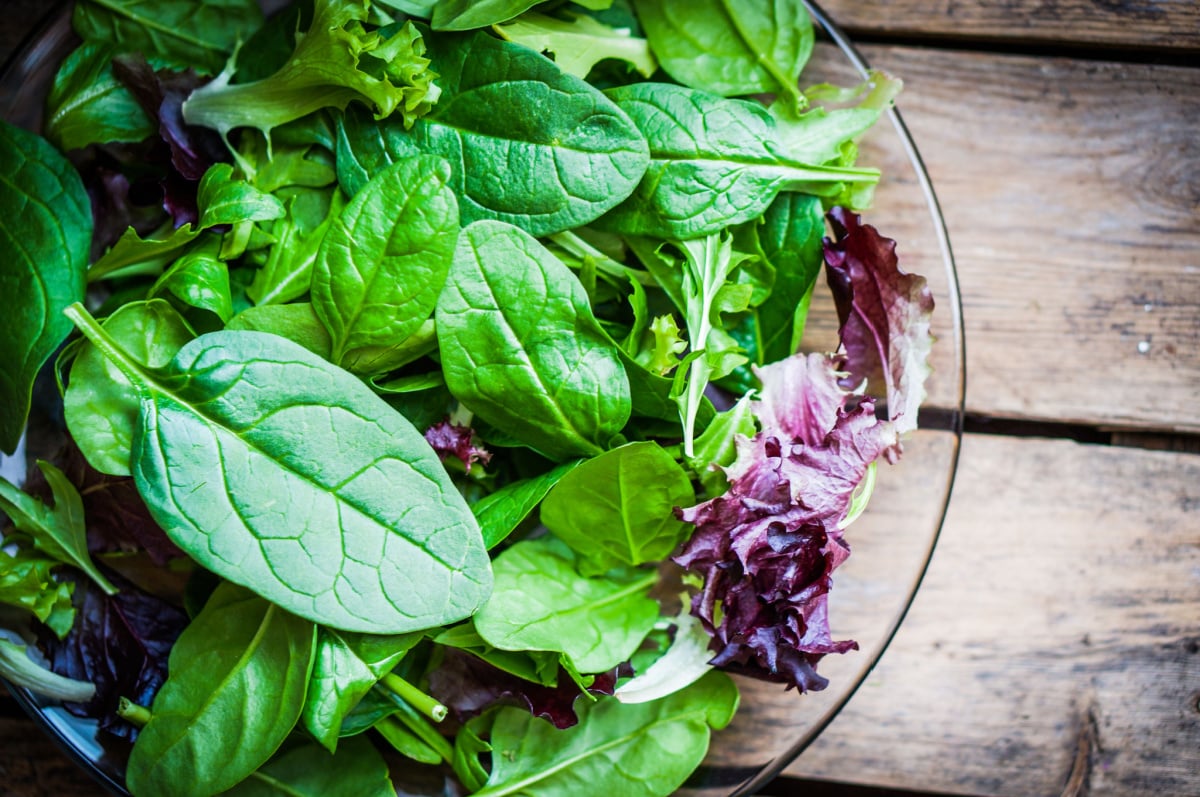 salad greens on a plate