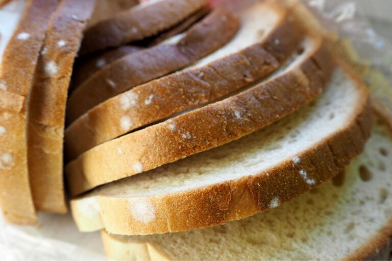 white-spots-on-bread-mold-or-flour-tastylicious